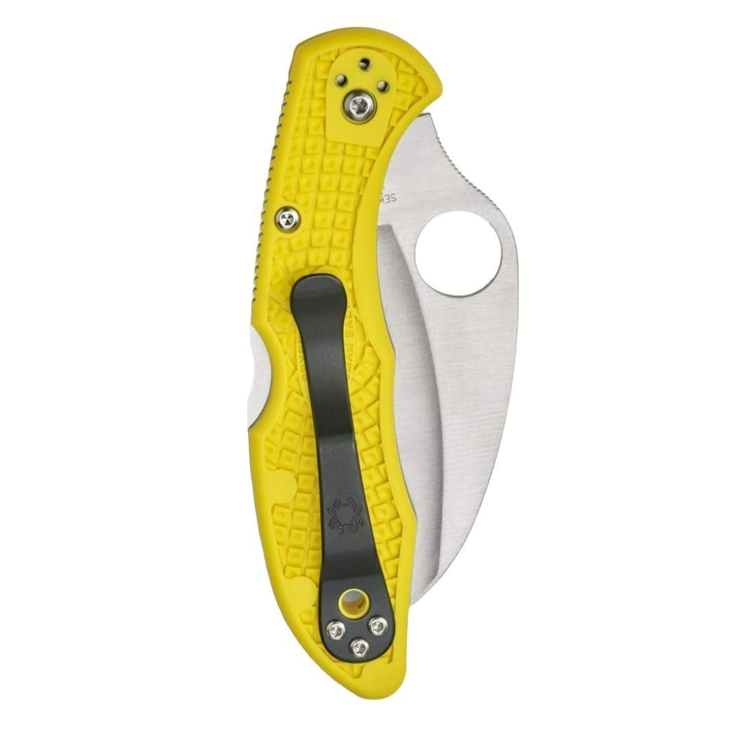 Spyderco Folding Knife Tasman Salt 2