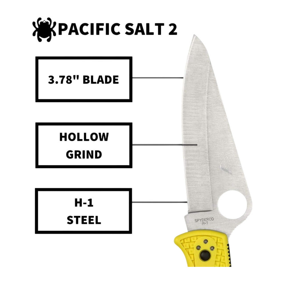 Spyderco Folding Knife Pacific Salt 2