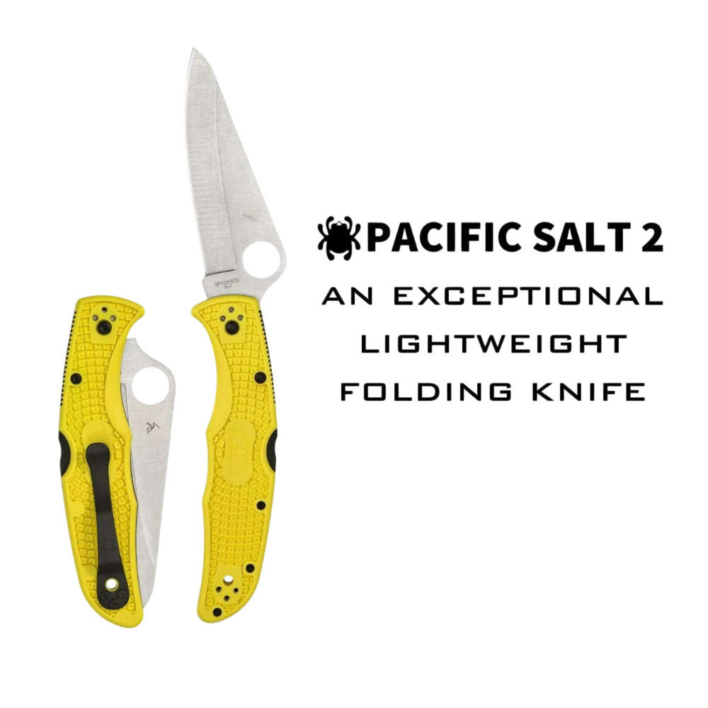 Spyderco Folding Knife Pacific Salt 2