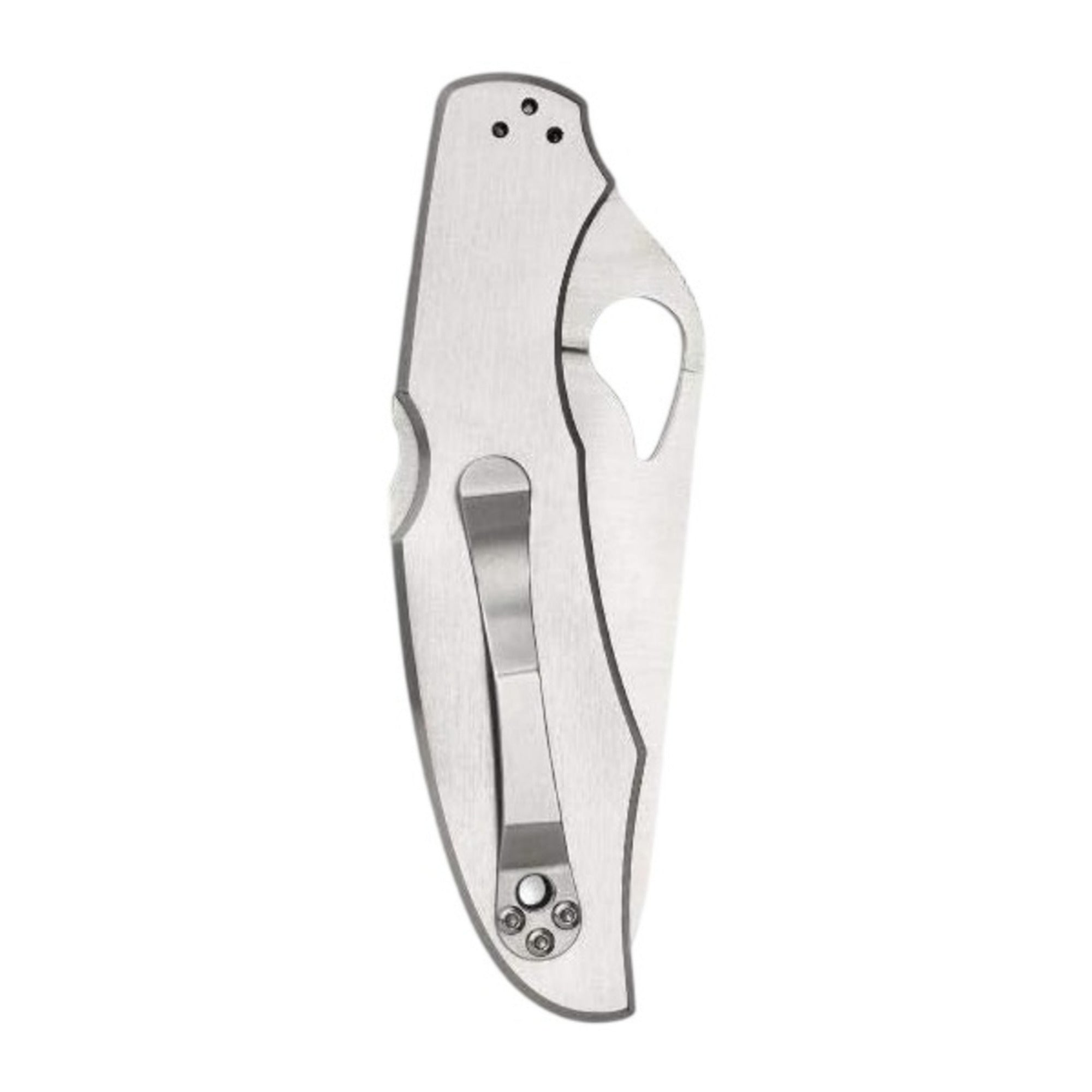 Spyderco Byrd Cara Cara 2 CombinationEdge Stainless Steel Knife with Steel Blade
