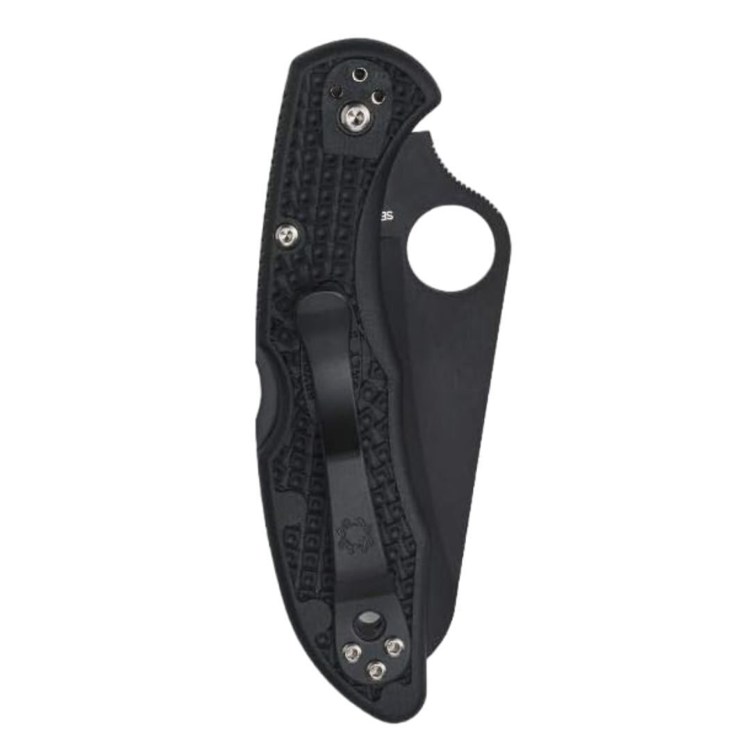 Spyderco Folding Knife Salt 2