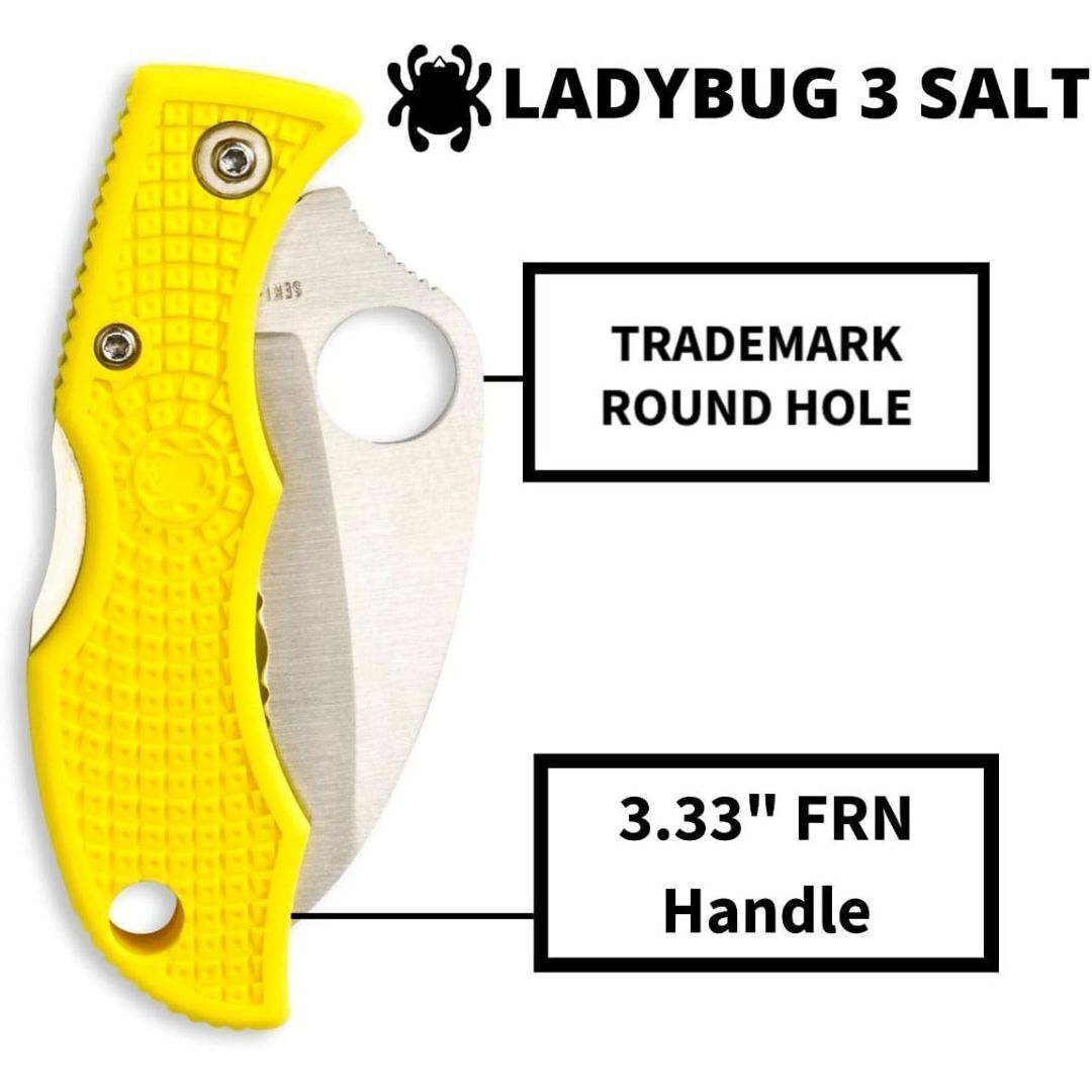 Spyderco Folding Knife Ladybug 3 Salt