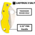 Spyderco Folding Knife Ladybug 3 Salt