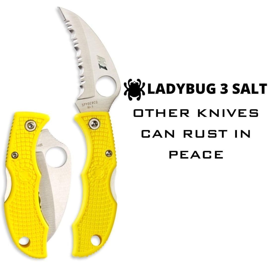 Spyderco Folding Knife Ladybug 3 Salt