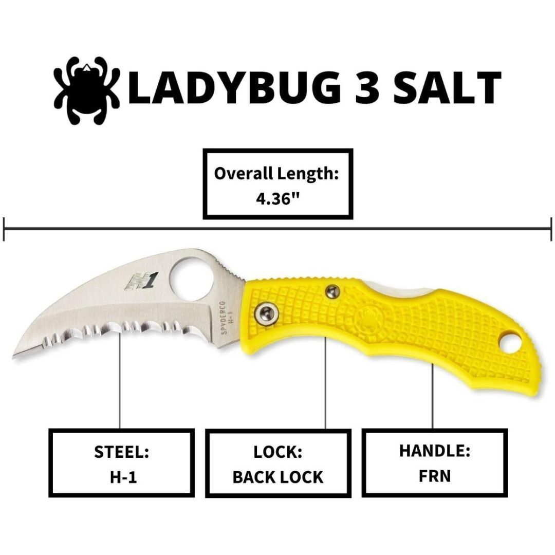 Spyderco Folding Knife Ladybug 3 Salt