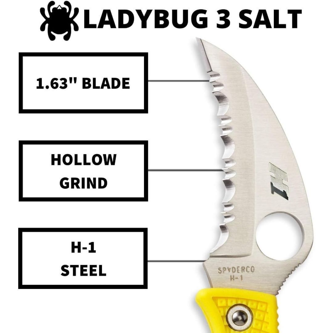 Spyderco Folding Knife Ladybug 3 Salt