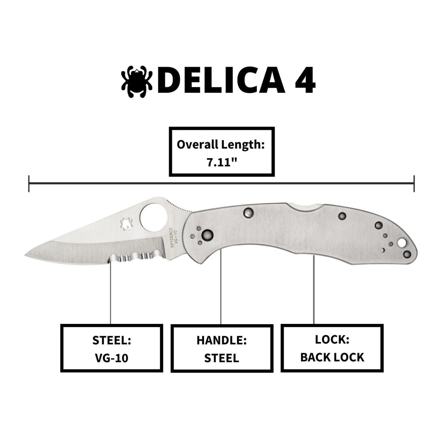 Spyderco Delica 4 Stainless Steel Folding Knife with VG-10 Drop Point 73mm